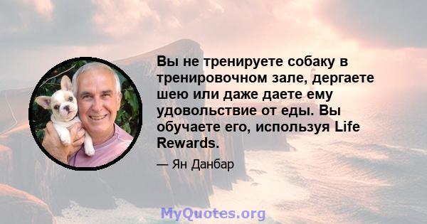 Вы не тренируете собаку в тренировочном зале, дергаете шею или даже даете ему удовольствие от еды. Вы обучаете его, используя Life Rewards.