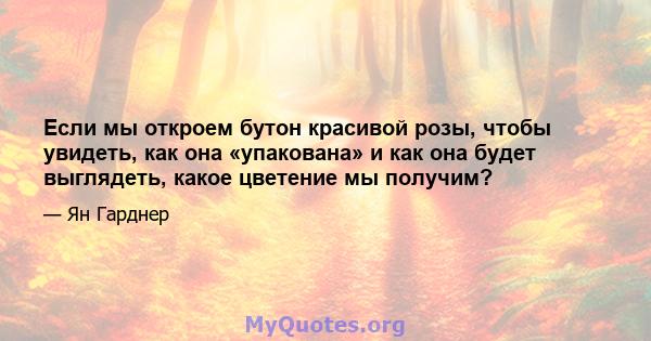 Если мы откроем бутон красивой розы, чтобы увидеть, как она «упакована» и как она будет выглядеть, какое цветение мы получим?