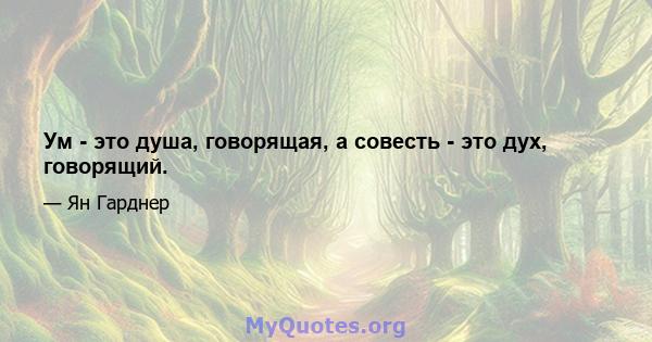 Ум - это душа, говорящая, а совесть - это дух, говорящий.