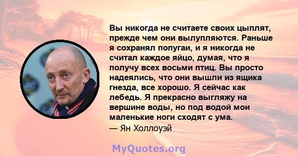 Вы никогда не считаете своих цыплят, прежде чем они вылупляются. Раньше я сохранял попугаи, и я никогда не считал каждое яйцо, думая, что я получу всех восьми птиц. Вы просто надеялись, что они вышли из ящика гнезда,