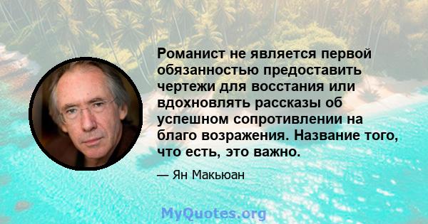 Романист не является первой обязанностью предоставить чертежи для восстания или вдохновлять рассказы об успешном сопротивлении на благо возражения. Название того, что есть, это важно.