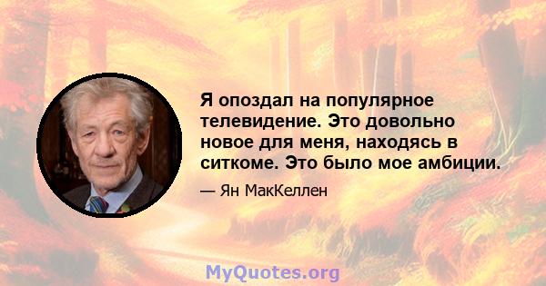 Я опоздал на популярное телевидение. Это довольно новое для меня, находясь в ситкоме. Это было мое амбиции.