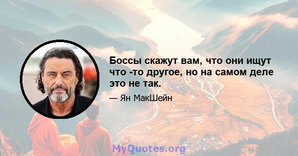 Боссы скажут вам, что они ищут что -то другое, но на самом деле это не так.