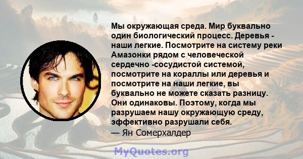 Мы окружающая среда. Мир буквально один биологический процесс. Деревья - наши легкие. Посмотрите на систему реки Амазонки рядом с человеческой сердечно -сосудистой системой, посмотрите на кораллы или деревья и