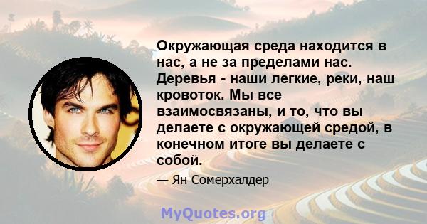 Окружающая среда находится в нас, а не за пределами нас. Деревья - наши легкие, реки, наш кровоток. Мы все взаимосвязаны, и то, что вы делаете с окружающей средой, в конечном итоге вы делаете с собой.