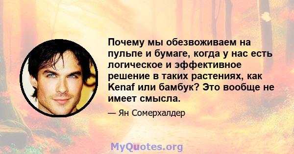 Почему мы обезвоживаем на пульпе и бумаге, когда у нас есть логическое и эффективное решение в таких растениях, как Kenaf или бамбук? Это вообще не имеет смысла.