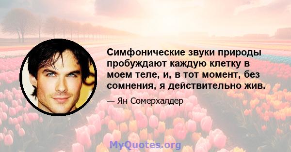 Симфонические звуки природы пробуждают каждую клетку в моем теле, и, в тот момент, без сомнения, я действительно жив.