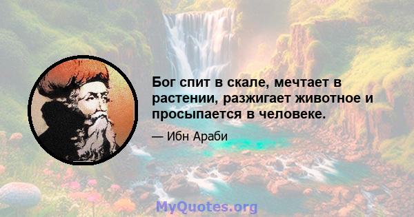 Бог спит в скале, мечтает в растении, разжигает животное и просыпается в человеке.