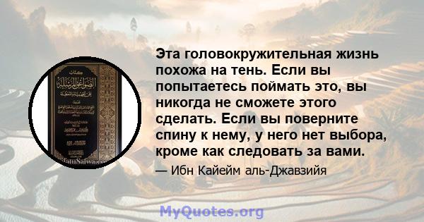 Эта головокружительная жизнь похожа на тень. Если вы попытаетесь поймать это, вы никогда не сможете этого сделать. Если вы поверните спину к нему, у него нет выбора, кроме как следовать за вами.