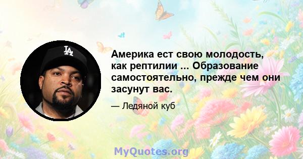 Америка ест свою молодость, как рептилии ... Образование самостоятельно, прежде чем они засунут вас.