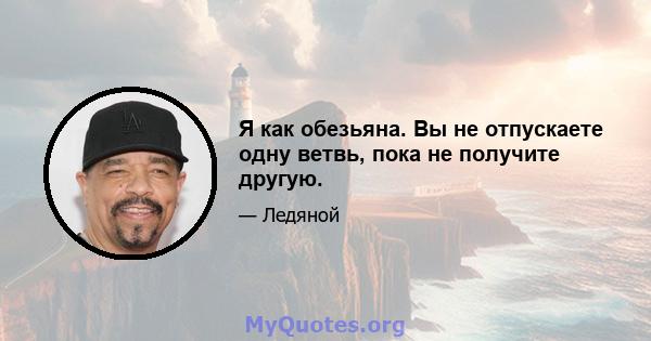 Я как обезьяна. Вы не отпускаете одну ветвь, пока не получите другую.