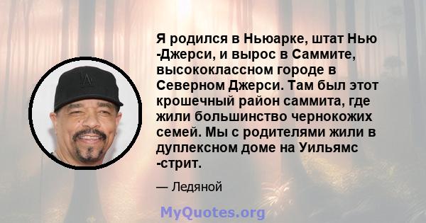 Я родился в Ньюарке, штат Нью -Джерси, и вырос в Саммите, высококлассном городе в Северном Джерси. Там был этот крошечный район саммита, где жили большинство чернокожих семей. Мы с родителями жили в дуплексном доме на