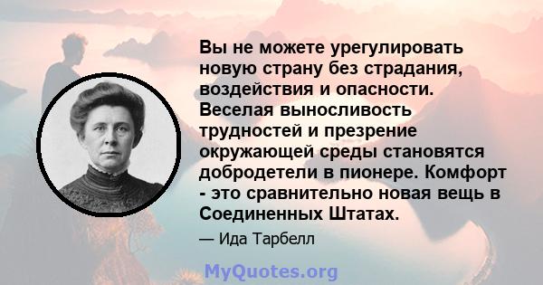 Вы не можете урегулировать новую страну без страдания, воздействия и опасности. Веселая выносливость трудностей и презрение окружающей среды становятся добродетели в пионере. Комфорт - это сравнительно новая вещь в