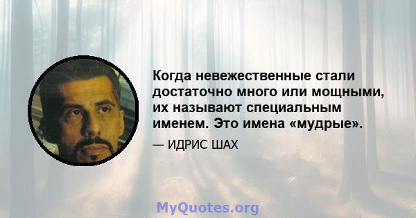 Когда невежественные стали достаточно много или мощными, их называют специальным именем. Это имена «мудрые».