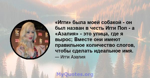 «Игги» была моей собакой - он был назван в честь Игги Поп - а «Азалия» - это улица, где я вырос; Вместе они имеют правильное количество слогов, чтобы сделать идеальное имя.