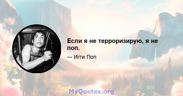 Если я не терроризирую, я не поп.