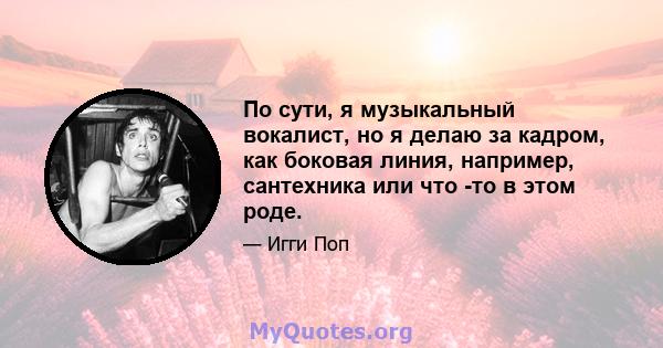 По сути, я музыкальный вокалист, но я делаю за кадром, как боковая линия, например, сантехника или что -то в этом роде.