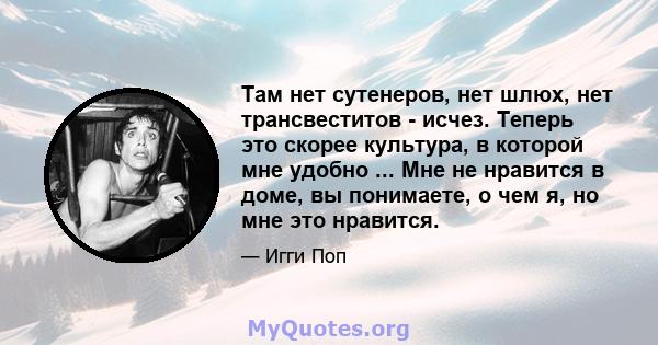 Там нет сутенеров, нет шлюх, нет трансвеститов - исчез. Теперь это скорее культура, в которой мне удобно ... Мне не нравится в доме, вы понимаете, о чем я, но мне это нравится.