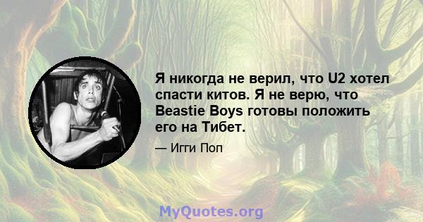 Я никогда не верил, что U2 хотел спасти китов. Я не верю, что Beastie Boys готовы положить его на Тибет.