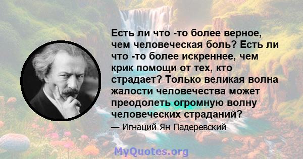 Есть ли что -то более верное, чем человеческая боль? Есть ли что -то более искреннее, чем крик помощи от тех, кто страдает? Только великая волна жалости человечества может преодолеть огромную волну человеческих