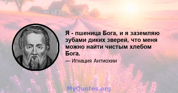 Я - пшеница Бога, и я заземляю зубами диких зверей, что меня можно найти чистым хлебом Бога.