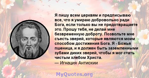 Я пишу всем церквям и предписываю все, что я умираю добровольно ради Бога, если только вы не предотвращаете это. Прошу тебя, не делай мне безвременную доброту. Позвольте мне съесть зверей, которые являются моим способом 