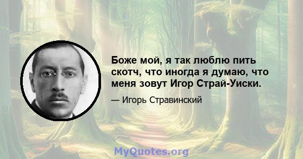 Боже мой, я так люблю пить скотч, что иногда я думаю, что меня зовут Игор Страй-Уиски.