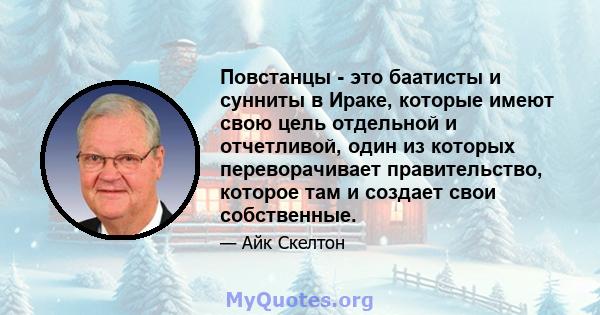 Повстанцы - это баатисты и сунниты в Ираке, которые имеют свою цель отдельной и отчетливой, один из которых переворачивает правительство, которое там и создает свои собственные.