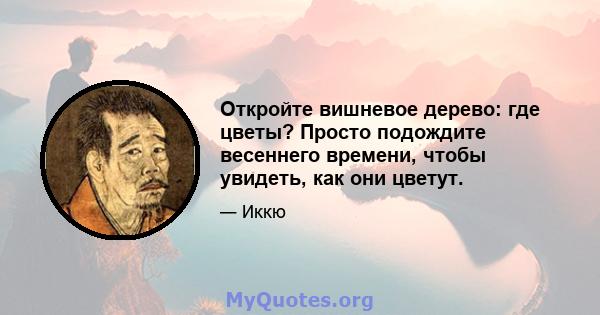 Откройте вишневое дерево: где цветы? Просто подождите весеннего времени, чтобы увидеть, как они цветут.