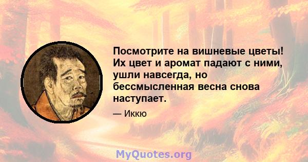 Посмотрите на вишневые цветы! Их цвет и аромат падают с ними, ушли навсегда, но бессмысленная весна снова наступает.