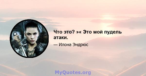 Что это? »« Это мой пудель атаки.