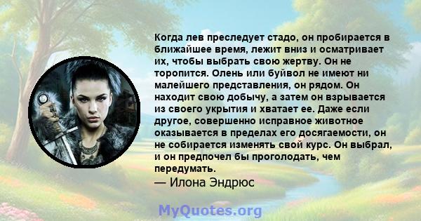 Когда лев преследует стадо, он пробирается в ближайшее время, лежит вниз и осматривает их, чтобы выбрать свою жертву. Он не торопится. Олень или буйвол не имеют ни малейшего представления, он рядом. Он находит свою