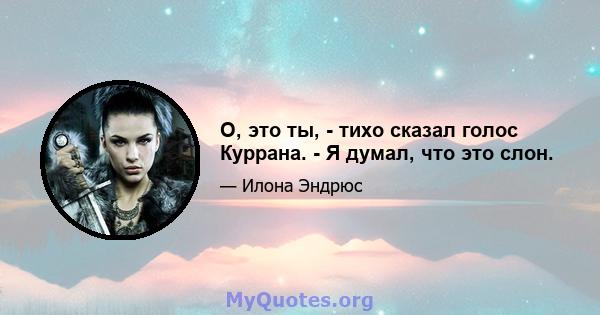 О, это ты, - тихо сказал голос Куррана. - Я думал, что это слон.