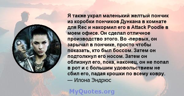 Я также украл маленький желтый пончик из коробки пончиков Дункана в комнате для Rec и накормил его в Attack Poodle в моем офисе. Он сделал отличное производство этого. Во -первых, он зарычал в пончике, просто чтобы