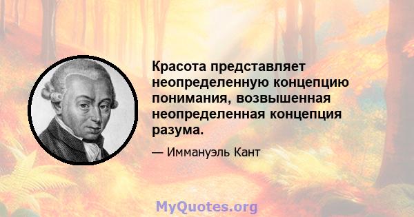 Красота представляет неопределенную концепцию понимания, возвышенная неопределенная концепция разума.