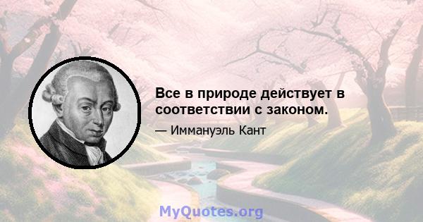 Все в природе действует в соответствии с законом.