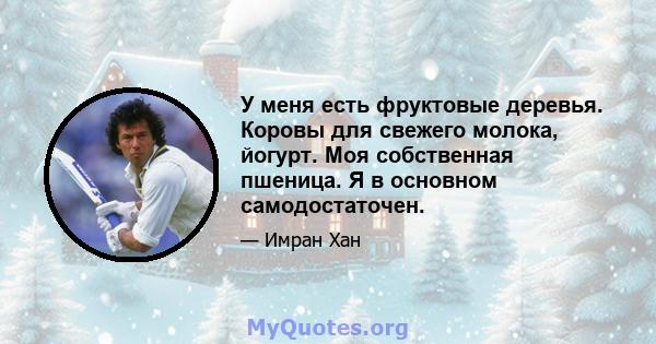 У меня есть фруктовые деревья. Коровы для свежего молока, йогурт. Моя собственная пшеница. Я в основном самодостаточен.