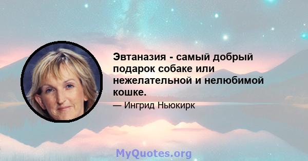 Эвтаназия - самый добрый подарок собаке или нежелательной и нелюбимой кошке.