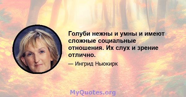 Голуби нежны и умны и имеют сложные социальные отношения. Их слух и зрение отлично.