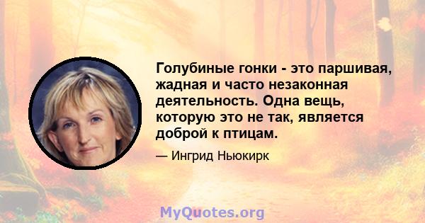 Голубиные гонки - это паршивая, жадная и часто незаконная деятельность. Одна вещь, которую это не так, является доброй к птицам.