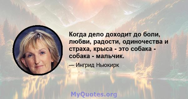 Когда дело доходит до боли, любви, радости, одиночества и страха, крыса - это собака - собака - мальчик.