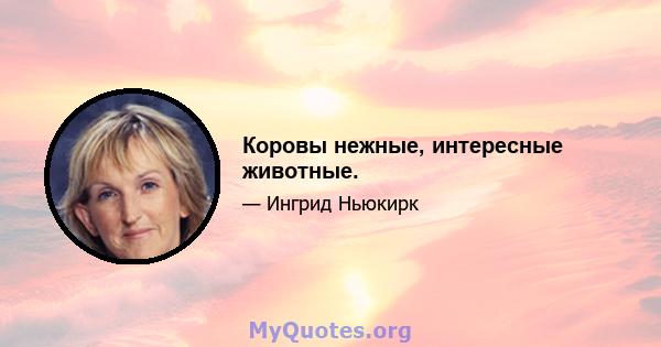 Коровы нежные, интересные животные.