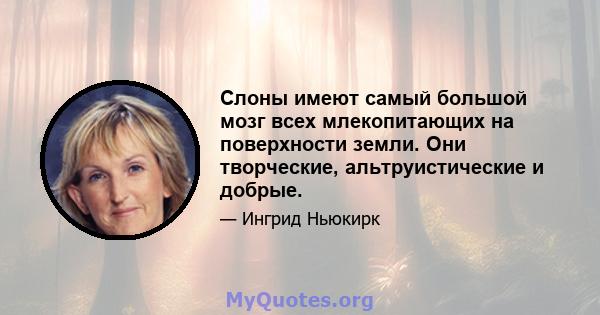 Слоны имеют самый большой мозг всех млекопитающих на поверхности земли. Они творческие, альтруистические и добрые.