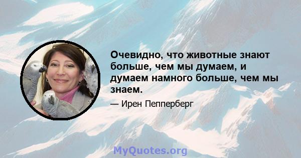 Очевидно, что животные знают больше, чем мы думаем, и думаем намного больше, чем мы знаем.