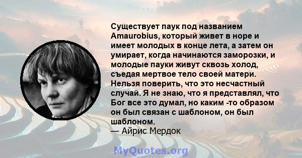 Существует паук под названием Amaurobius, который живет в норе и имеет молодых в конце лета, а затем он умирает, когда начинаются заморозки, и молодые пауки живут сквозь холод, съедая мертвое тело своей матери. Нельзя