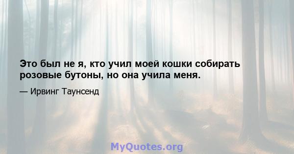 Это был не я, кто учил моей кошки собирать розовые бутоны, но она учила меня.