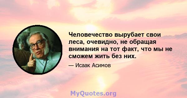 Человечество вырубает свои леса, очевидно, не обращая внимания на тот факт, что мы не сможем жить без них.