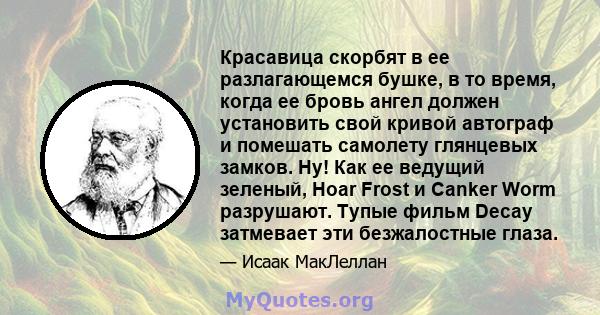 Красавица скорбят в ее разлагающемся бушке, в то время, когда ее бровь ангел должен установить свой кривой автограф и помешать самолету глянцевых замков. Ну! Как ее ведущий зеленый, Hoar Frost и Canker Worm разрушают.