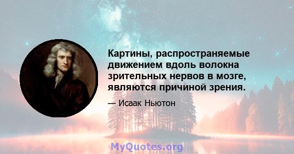 Картины, распространяемые движением вдоль волокна зрительных нервов в мозге, являются причиной зрения.