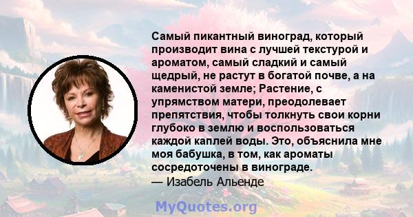 Самый пикантный виноград, который производит вина с лучшей текстурой и ароматом, самый сладкий и самый щедрый, не растут в богатой почве, а на каменистой земле; Растение, с упрямством матери, преодолевает препятствия,